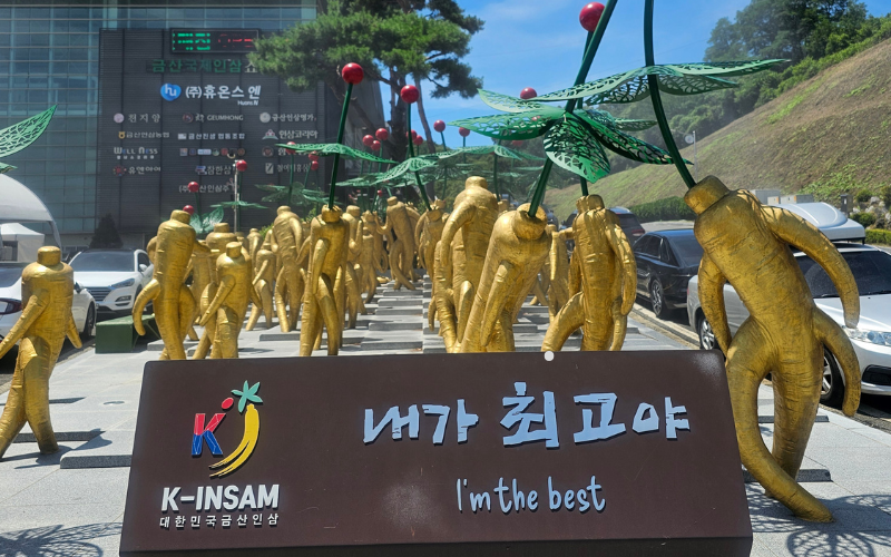 Patung-patung bertema ginseng menghiasi area Festival Samgyetang Geumsan pada tanggal 11 Juli 2026 di Geumsan, Provinsi Chungcheongnam. 