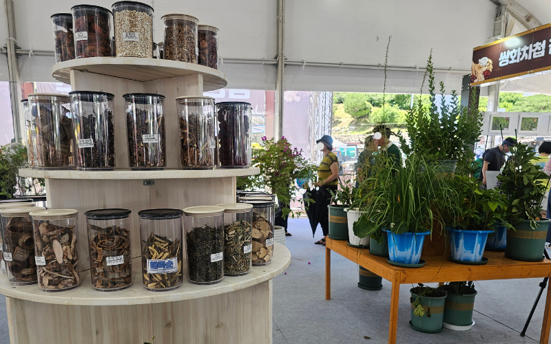 Beragam jenis ginseng dan tanaman herbal diperkenalkan kepada pengunjung dalam Festival Samgyetang Geumsan pada tanggal 11 Juli 2026 di Geumsan, Provinsi Chungcheongnam. 
