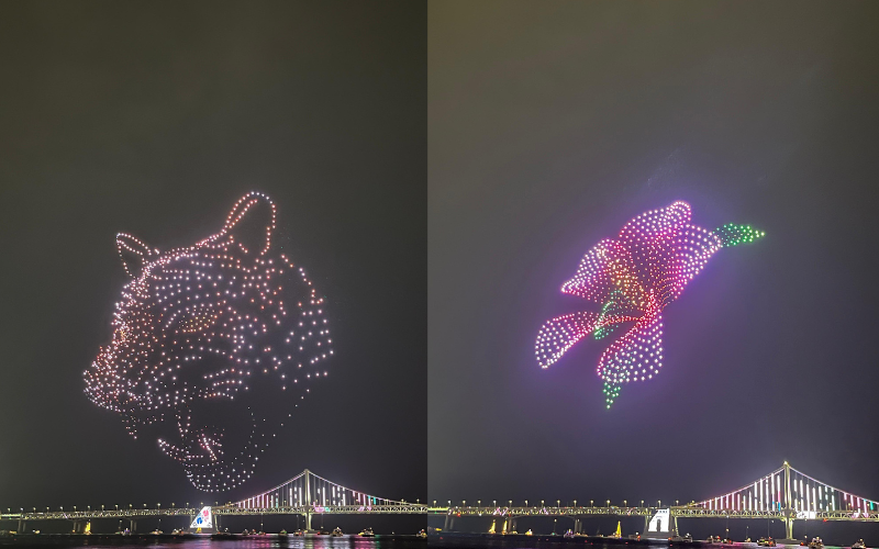 Bunga mugunghwa dan harimau sebagai simbol bunga dan hewan nasional Korea dalam pertunjukan drone pada Sabtu (15/08/2026) di Pantai Gwangalli, Busan.  