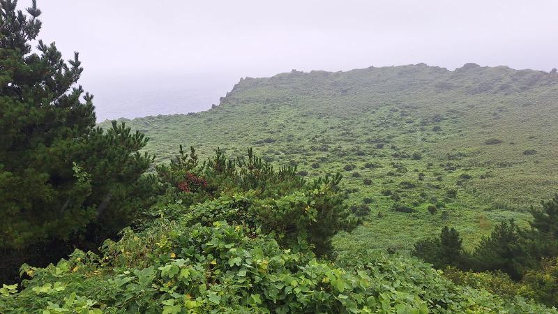 Pemandangan berupa hamparan padang rumput yang dapat dilihat dari puncak Seongsan Ilchulbong. Foto tersebut diambil pada 15 Agustus 2026 
