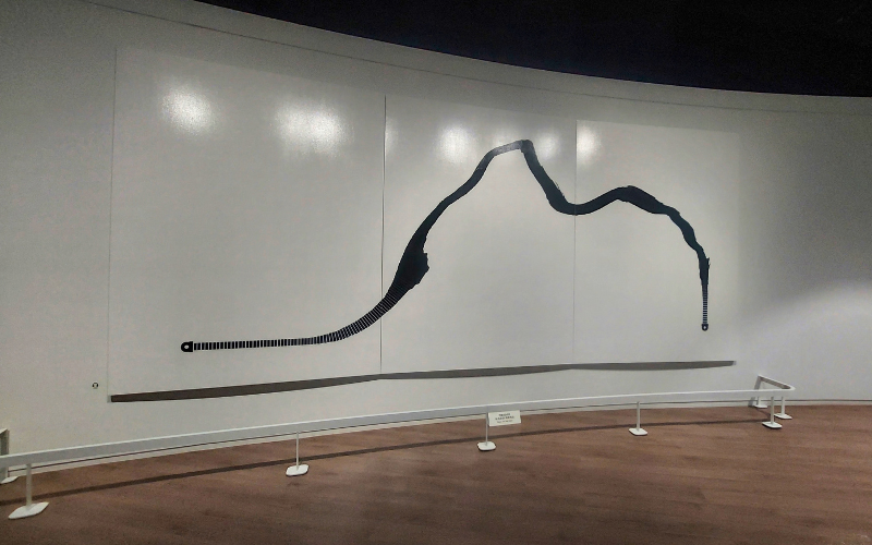 Potret karya berjudul From Alpha to Hieut karya seniman Ahn Sang-soo yang penulis abadikan melalui kunjungan ke Museum Sistem Penulisan Dunia pada Minggu (19/10/2025). (Maulia Resta Mardaningtias) 