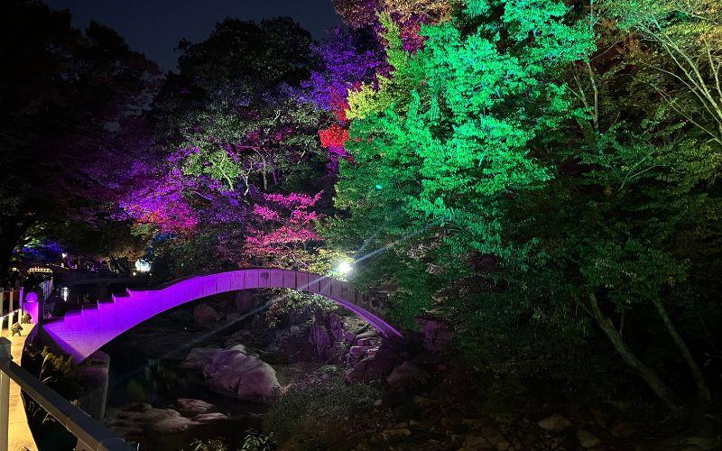 Lampu hias menerangi pepohonan pada tanggal 10 Oktober 2026 di Kuil Tongdosa, Yangsan, Provinsi Gyeongsangnam. 