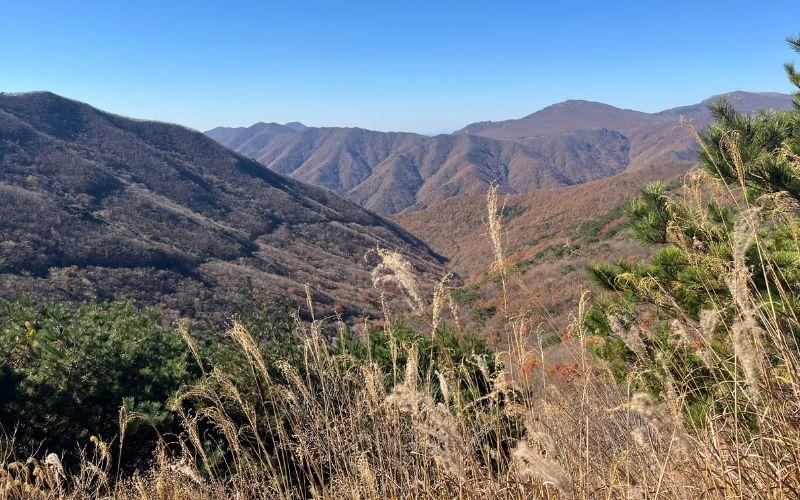 Pemandangan pegunungan lain di sekitar yang masih termasuk dalam deretan Pegunungan Alpen Yeongnam dapat dinikmati lewat Ganwoljae. Foto diambil pada tanggal 18 Oktober 2026. 