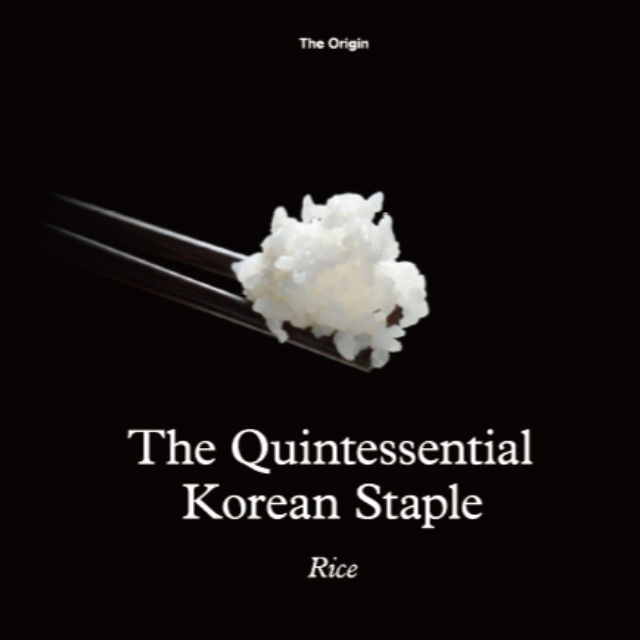 [The Origin] The Quintessential Korean Staple: Rice main img