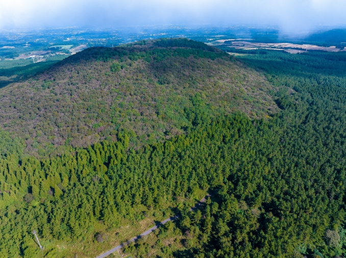 [Keunggulan Administrasi Publik Korea] ④ Kesuksesan Upaya Reboisasi Korea