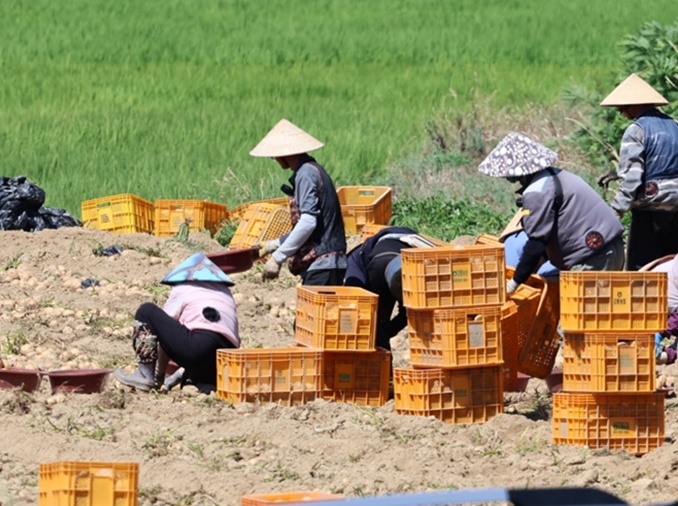 Pemerintah Korea Dorong Pencegahan Pelanggaran HAM Pekerja Asing